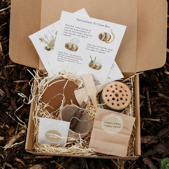 Let's Grow Bee Wildflowers Kit