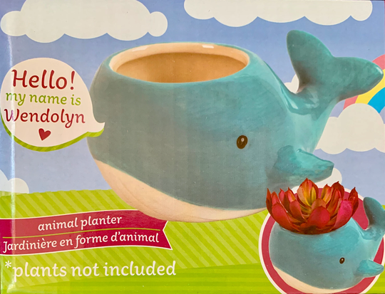 Succulent Ceramic "Whale