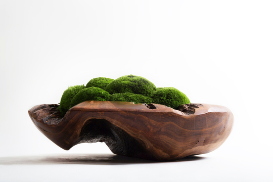Moss Bowl Wabi-Sabi Medium