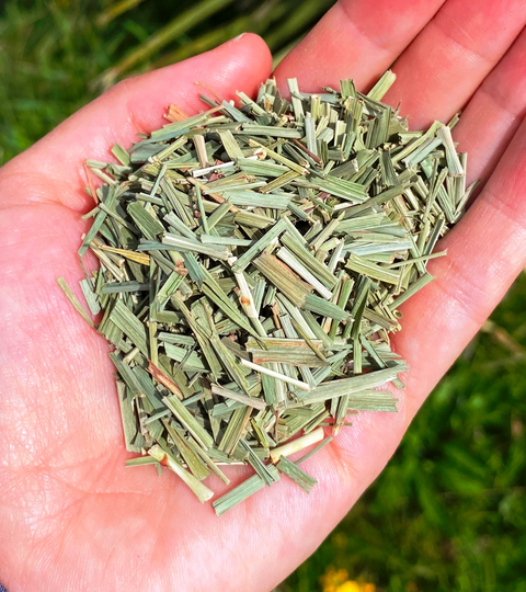 Lemongrass Dried Us, Natural Lemongrass, Dry Uk, Real Elf, Spell Herb