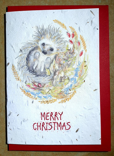 Plantable Seed Christmas Hedgehog Card. Card With A Hedgehog. Seed Hedgehog & Gift in One