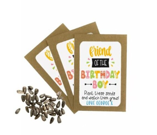 Personalised Birthday Seed Packets Envelopes With Seeds | Favour Party Gift Bag Thank You Boy