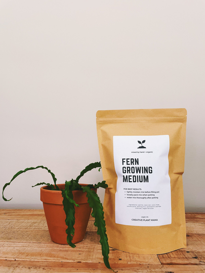 Fern Soil Mix - Houseplant Growing Medium 3 lb/2 Gallon