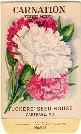 Vintage Flower Seed Packet "Carnation" 1918 "No Seeds