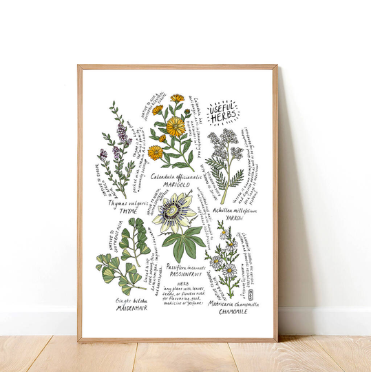 'Six Useful Herbs' Art Print
