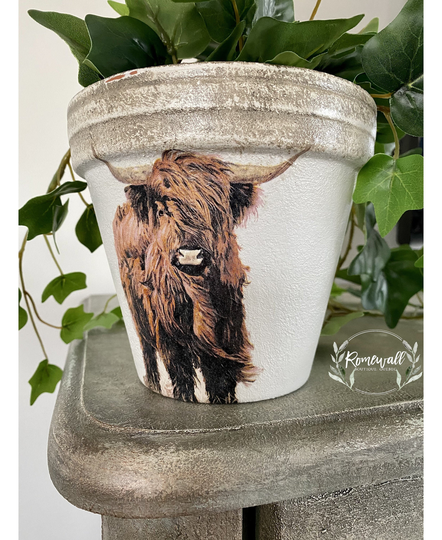 Highland Cow Pot, Hand Painted Terracotta Pot, Planter, Decor, Planters, Rustic Valentine Gift, Gift For Friend, Mom