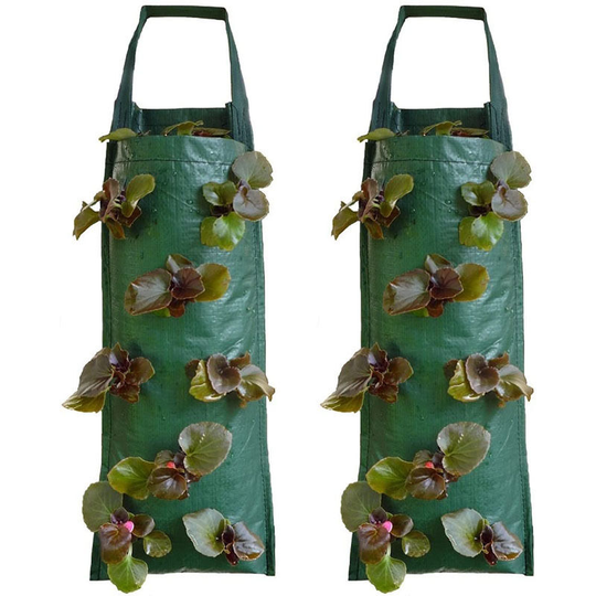 Betterlifegb - 2 Hanging Strawberry Growbag Planters Wall-mounted planting bag vertical three-dimensional multi-port plant bag