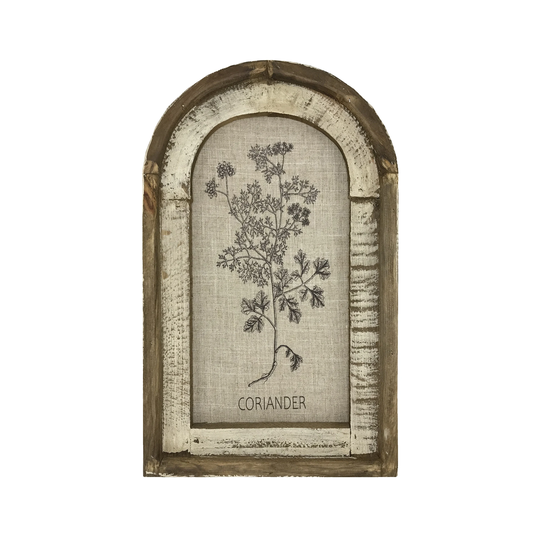 Coriander Wall Decor | Farmhouse Herbs Sign I Kitchen Art