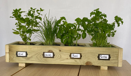 Kitchen Herb Planter - His & Her Christmas Gift Birthdays New Home Well Being Gardeners Gift Homeware Gifting