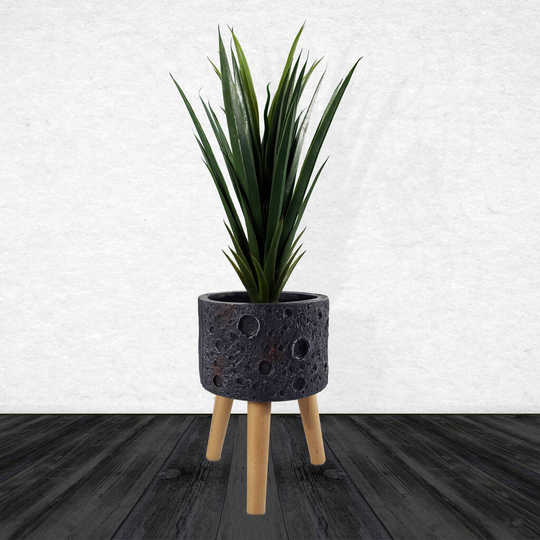 Leaf Design Lunar Moon Black Planter With Stand