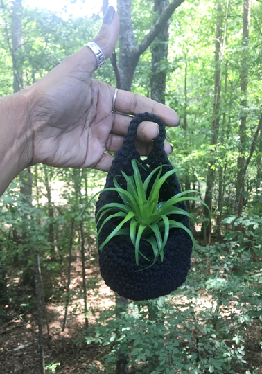 Crochet Cotton Plant Pod in 2 Sizes
