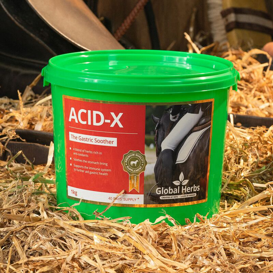 Acid-X - 1 Kg - ACID-X1KG - Global Herbs
