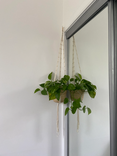 Macrame Plant Hanger #2
