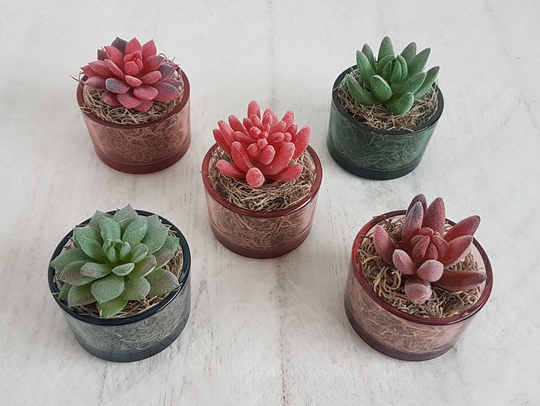 Artificial Succulent Plants in Coloured Glass Vases Faux Succulents Succulent Planter Gifts Realistic Artificial Pot Green Pink Red
