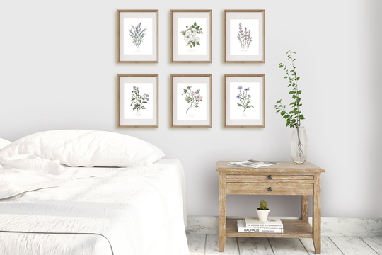 Any 6 Botanical Prints Wild Flower Or Herb Watercolour Illustrations, Gallery Wall Print Sets in Various Sizes