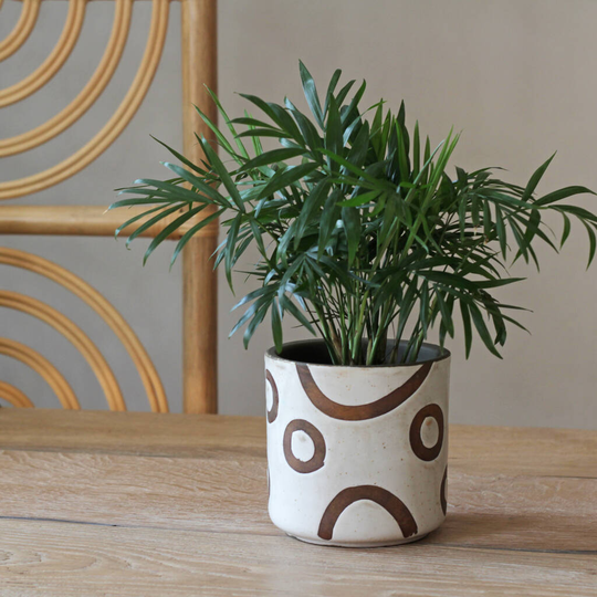 Terracotta Plant Pot Black And White