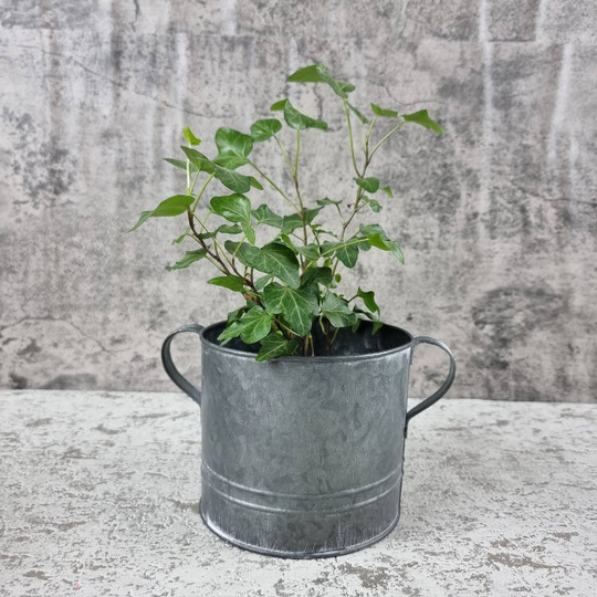 Galvanised Metal Pot Planter
