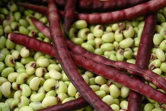 Pinkeye Purple Hull Pea Seed - 250 Seeds