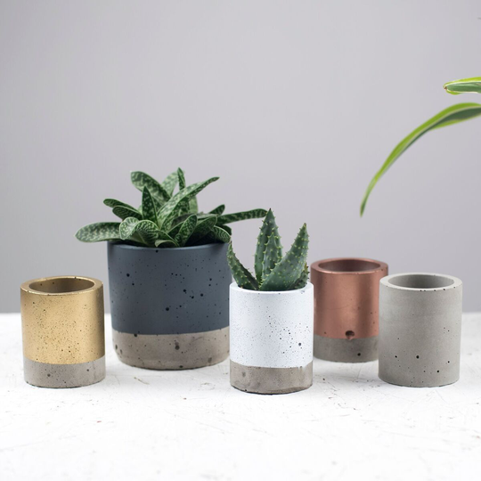 Coloured Concrete Planter