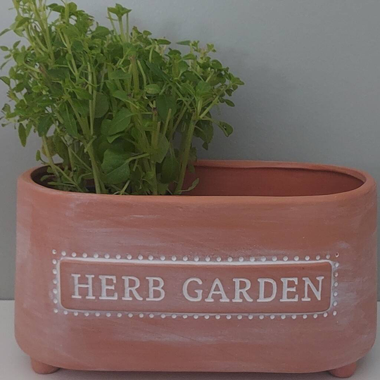 Terracotta Herb Garden Planter