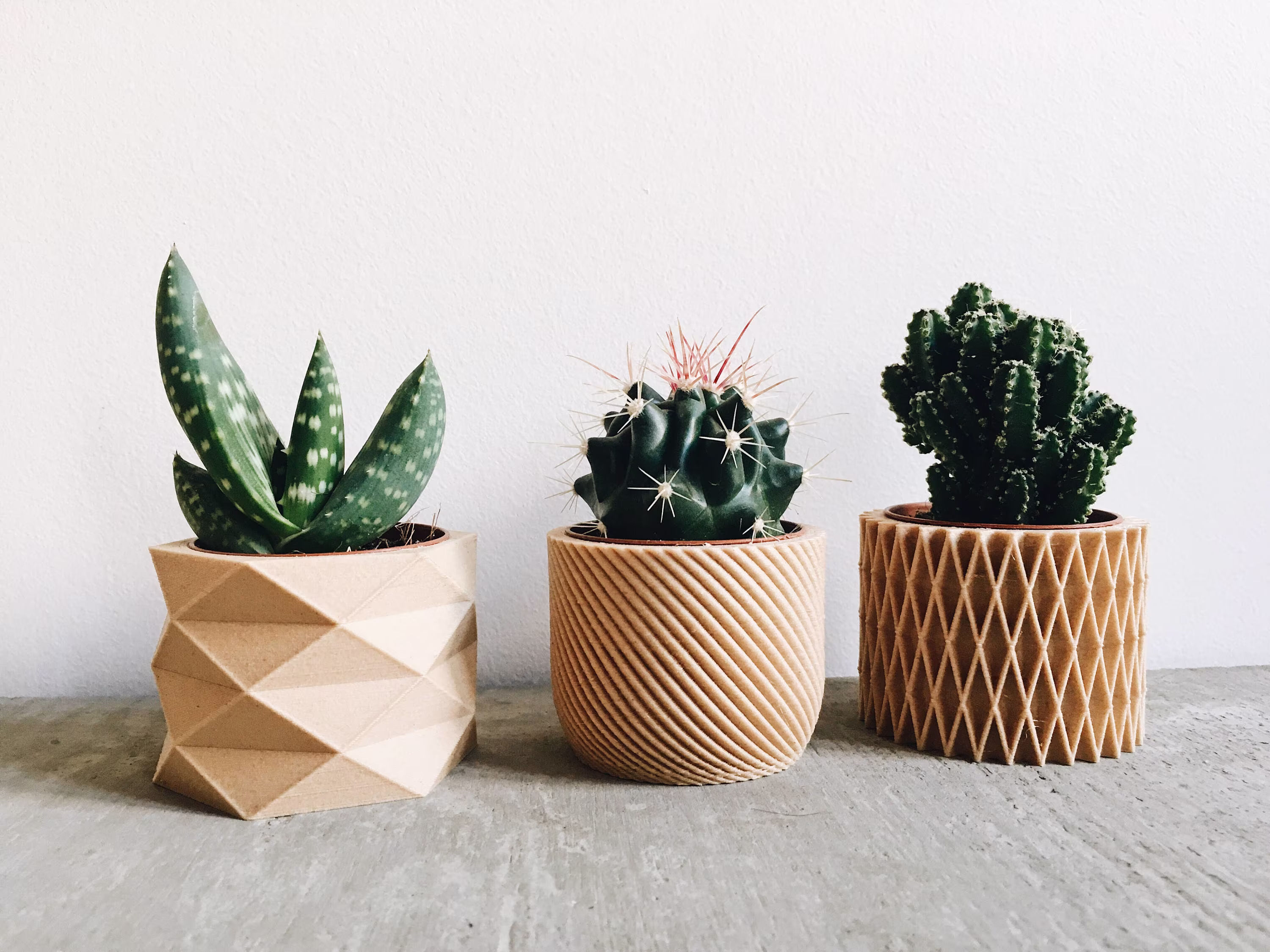 Set Of 3 Small Indoor Plant Pot Perfect For Succulent & Cactus Original Planter Gift