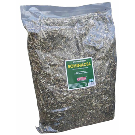 Straight Herbs Echinacea - 1 Kg Bag - 889 - Equimins