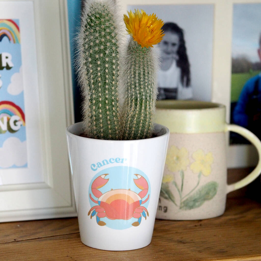 Personalised 'Vintage Toy' Zodiac Plant Pot