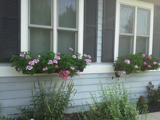 Hanging Garden Planters For Windows, Fences, Ect
