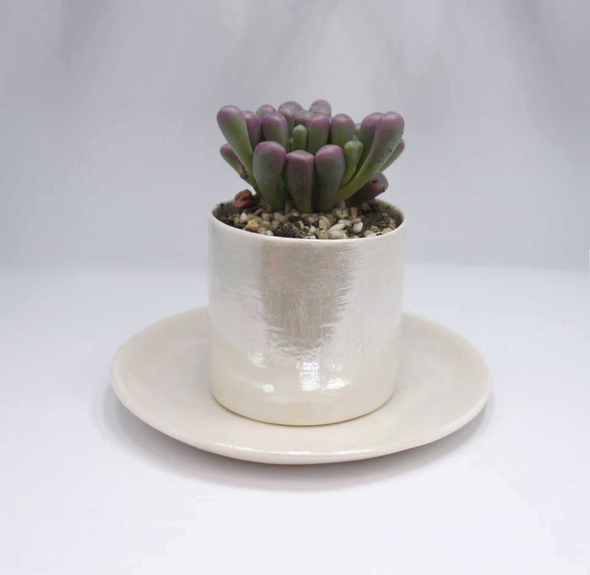 Cacti Planter - 30Th Wedding Anniversary Gift For Parents Pearl Gifts Succulent Plant Pot Pottery Cactus Pots Christmas
