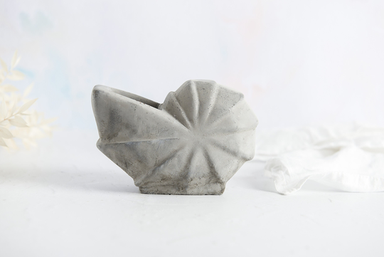 Concrete Ammonite Shell Succulent Holder, Perfect For Air Plants Or Small Succulents & Available in Several Colours