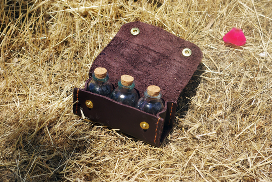 Bushcraft Spice Kit