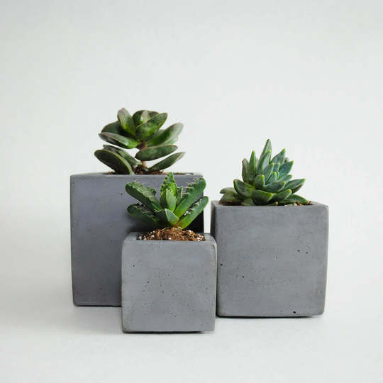 3-Set Charcoal Square Concrete Planters