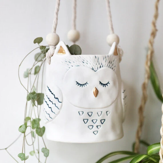 Hanging Planter | Bird Owl Succulent Housewarming