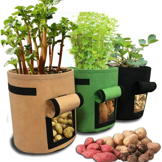 Denuotop - Home Balcony Garden Planter Bag for Plants and Vegetables, Potato Growing Container 30x30x35cm / 11.8x11.8x13.8 Inch Black - 1 Vegetable