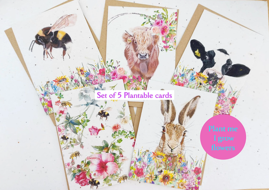 Plantable Seed Cards Eco Friendly Cards Flower Card Nature Scene Card Variety Pack | 5