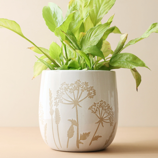 Sass & Belle Large Cow Parsley Planter, H14.5cm Floral Wildflower Plant Pot Neutral Natural Homeware Stoneware Lisa Angel