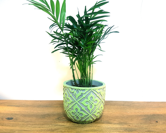 Lime Green Patterned Plant Pot, Floral Pot Concrete Planter, Rustic Home Decor Indoor House Lover Gift