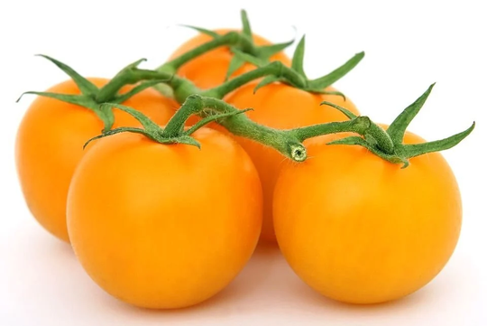 Tomato Golden Sunrise Approx. 30 Seeds Vegetable Seed