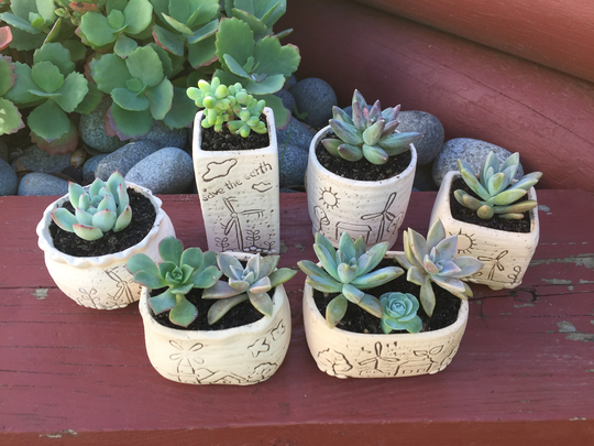6x Succulent Cactus Ceramic Pots Planters Small Size 6 Different Designs
