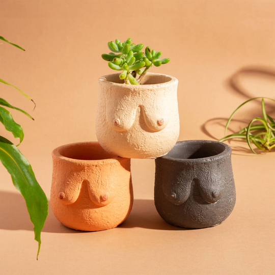 Set Of Three Boob Shaped Planters
