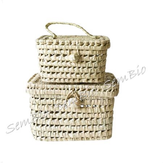 Palm Leaf Suitcases, Handmade Storage Baskets, Woven 100% Natural, Fedex Shipping