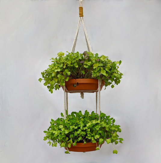 Tiered Tray Hanger