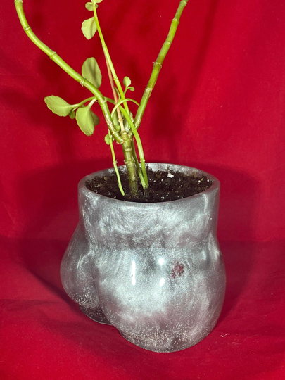Bootylicious Indoor Planter