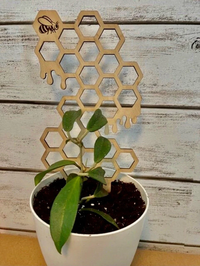 Honeycomb Trellis | Garden Trellis Plant Honey Bee Theme Hive Decor Raw Wood Home Birthday Gift