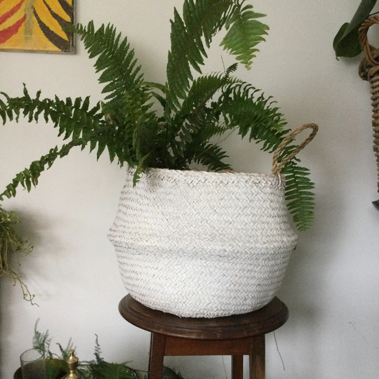 xxl White Seagrass Belly Basket | Storage Planter Christmas Scandi