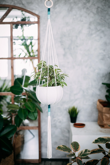 Macrame Plant Hanger Minimalist Color Block Pink Yellow Teal Blue