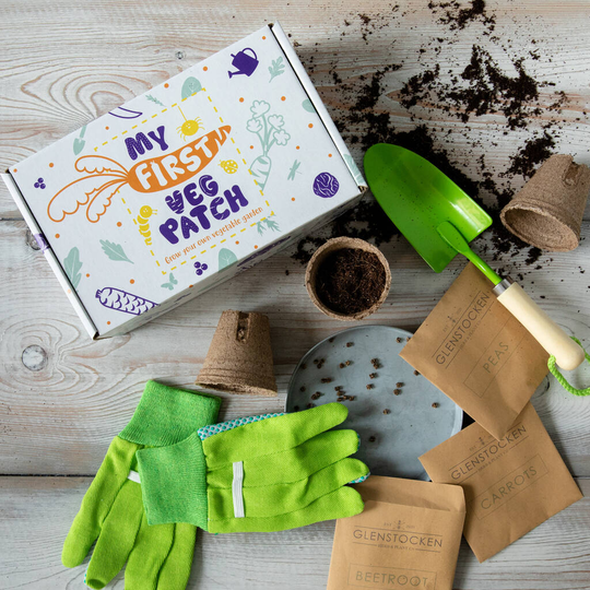 Kids Grow Your Own Veg Patch Kit