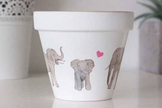Elephant Gift Plant Pot, For Women, Teachers, Elephant Decor, Themed Adults