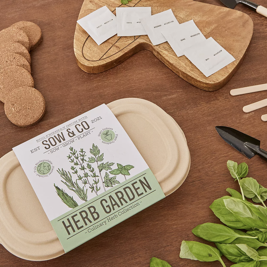 Grow Your Own Herb Garden