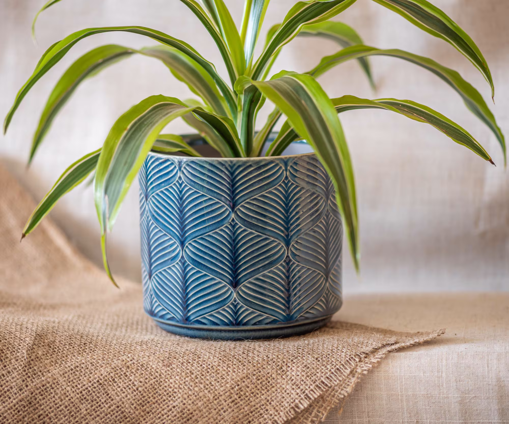 Ceramic Blue Planter, Glazed Plant Pot, Wavy Pattern Indoor Planter Pot Cover